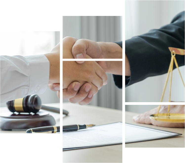 אנשים לוחצים ידיים